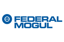 محصولات Federal mogul